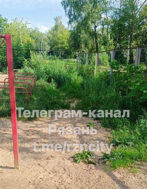 Рязанцы огорчены состоянием площадки для собак в парке Гагарина